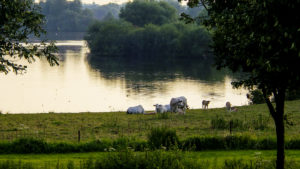 Waterkant Asseltse plassen